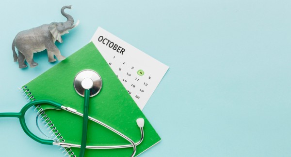 Your Ultimate Guide to Health Awareness Days in Nigeria